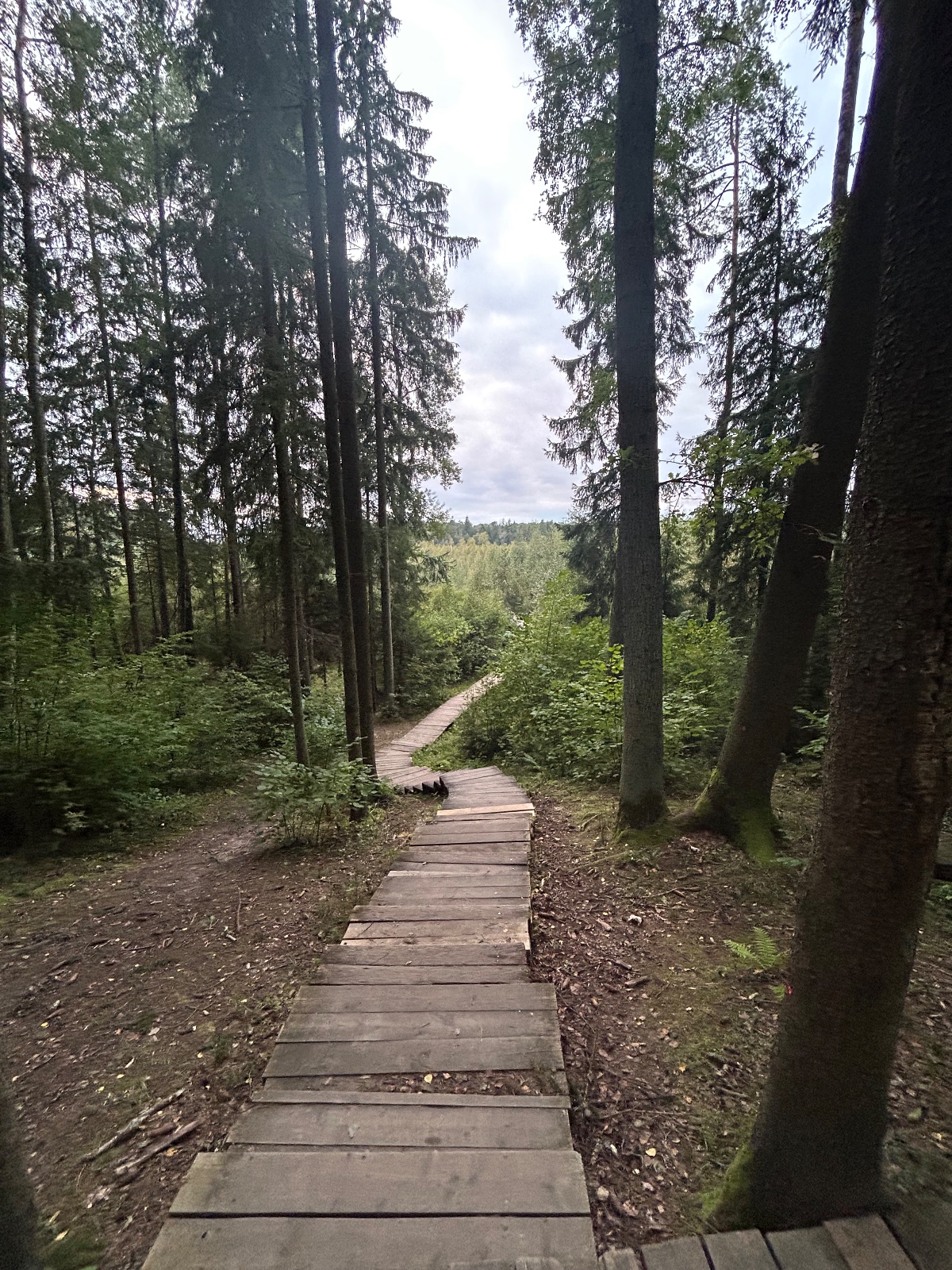 Pažintinis takas